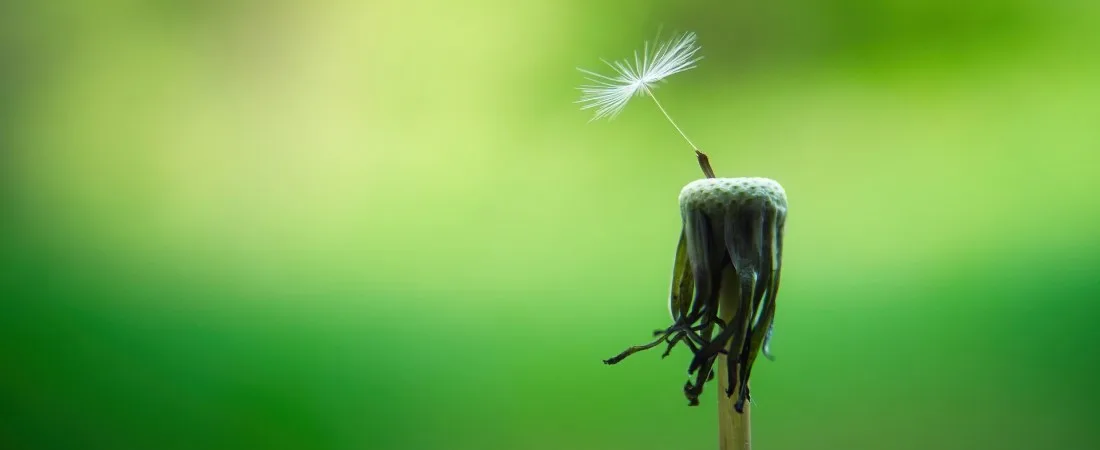 Magneesiumipuudus_magneesiumipuuduse_tunnused_energiapuudus